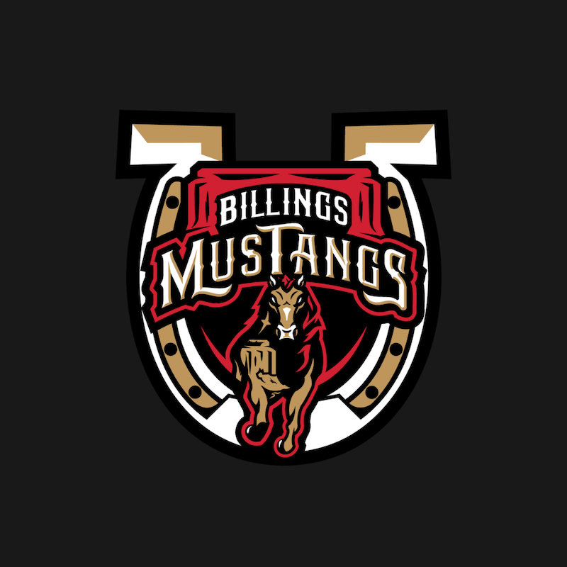 New Look, Same Mustangs: Mustangs release new primary logo for the 2024 Season